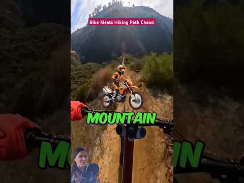 🚴‍♂️ Biker Hits