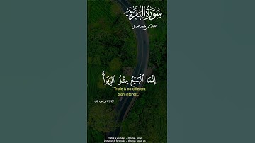 سورة البقرة محمد جبريل || حالات دينية #أيات