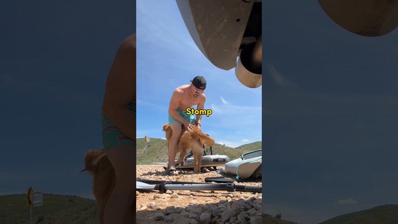 All my dog ever wants to do is stomp