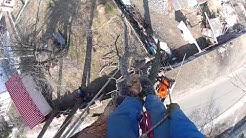 профессиональное удаление дерева с завешиванием частей