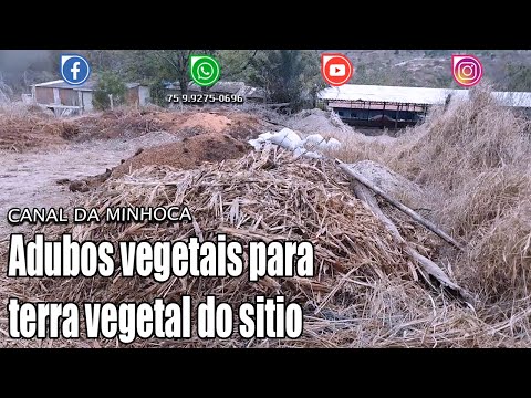 Vídeo: Vermicomposto Líquido: Instruções De Uso Para Vegetais E Outras Plantas. Como Procriar? Composição E Alimentação Com Fertilizante Universal