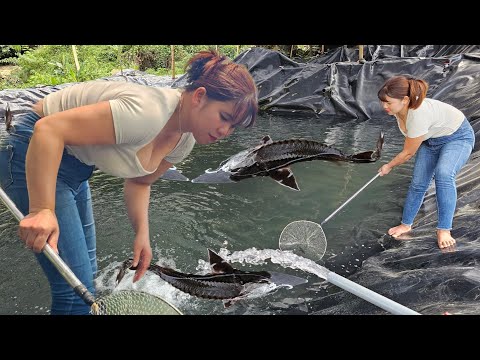 The girl helped him to classify fish on the pond.