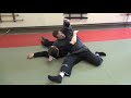 Bujinkan taijutsu session with sean askew    indiana seminar