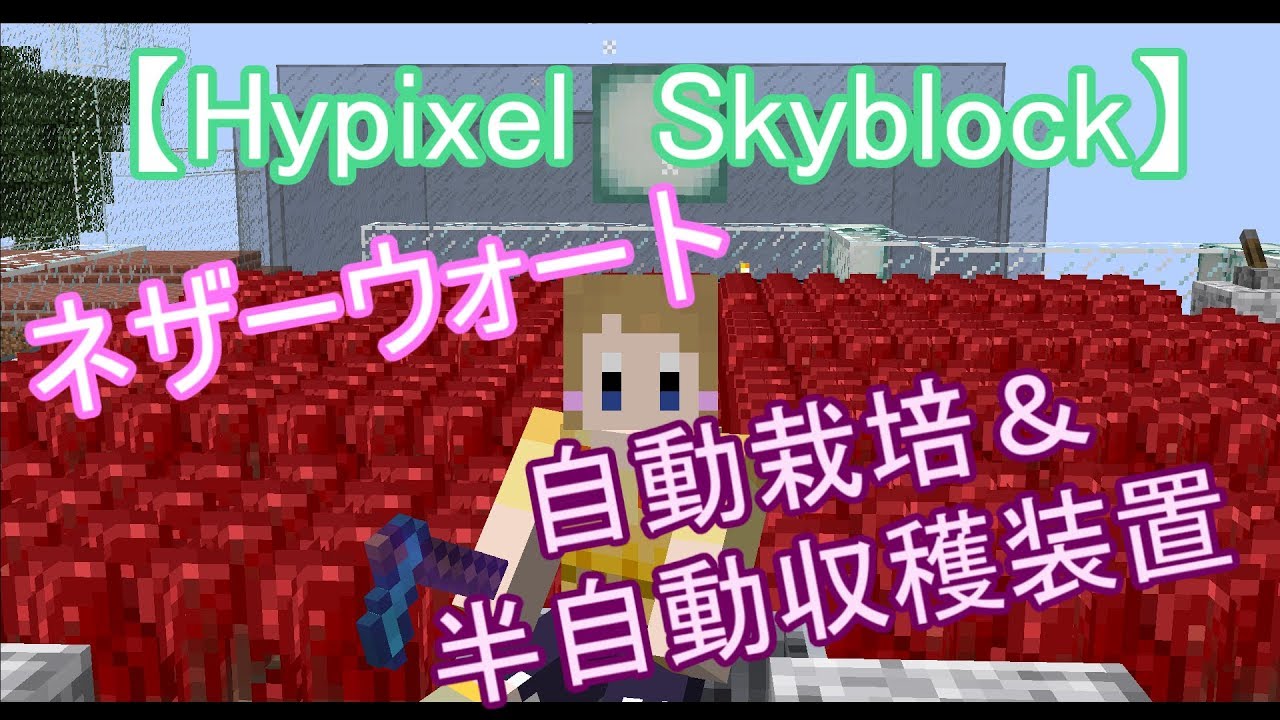 Hypixelskyblock ネザーウォート自動栽培 半自動収穫装置 改良版作ったので概要欄見てね Youtube