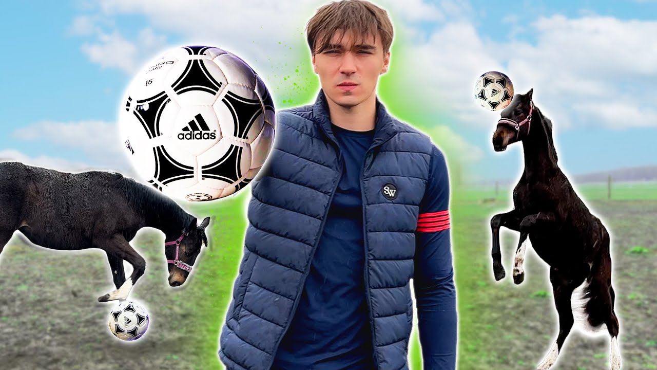 NAUCZYŁEM KONIA GRAĆ W PIŁKĘ! | Zrobiłem MONSTEROWE LODY!