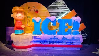 ICE! Featuring A Charlie Brown Christmas at the Gaylord Palms Resort | Full Christmas Experience