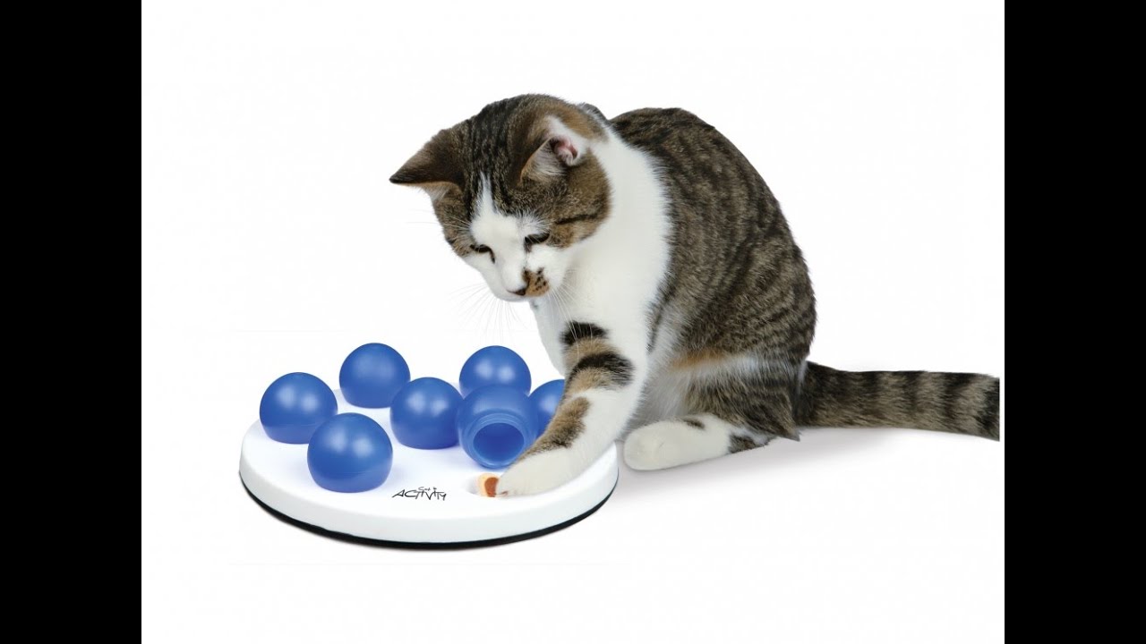 "TRIXIE Cat Activity Solitaire" Развивающая игрушка для кошек