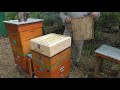 Работа с пчелоудалителем