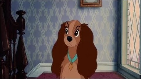 Animash-The Devil Within