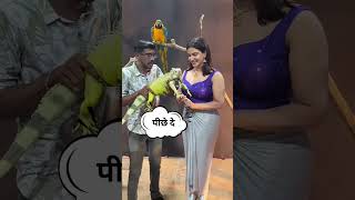 पीछे देखो #funny