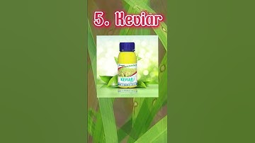 thuốc trị đạo ôn lá lúa đặc trị vàng lá lúa đốm lá lúa