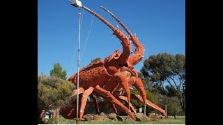 Big Breaking News! Governor DeSantis announces new Mini Mini Lobster Season for Florida Residents.