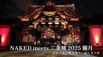 【ほっこり秋の京都 二条城】秋めく二条城でライトアップを楽しむ｜NAKED meets 二条城 2025 観月｜京都散策｜プロジェクションマッピング