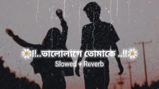 Bhalolaage Tomake (ভালো লাগে তোমাকে) | Slowed | Reverb | Arijit Singh | MR,MINHAZ🥀 Resimi