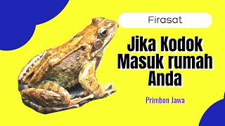 Arti kodok masuk dalam rumah🔸️Ada perubahan besar dalam hidup