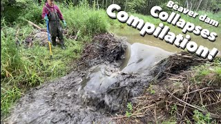 Beaver dam COLLAPSES COMPILATION!