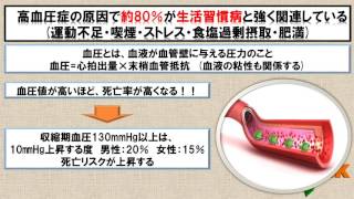 No.6 ○○するだけシリーズ 実は恐ろしい高血圧の原因～ダイエット及び健康増進のための食生活へ～