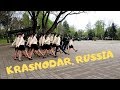 The beautiful city of Krasnodar Russia