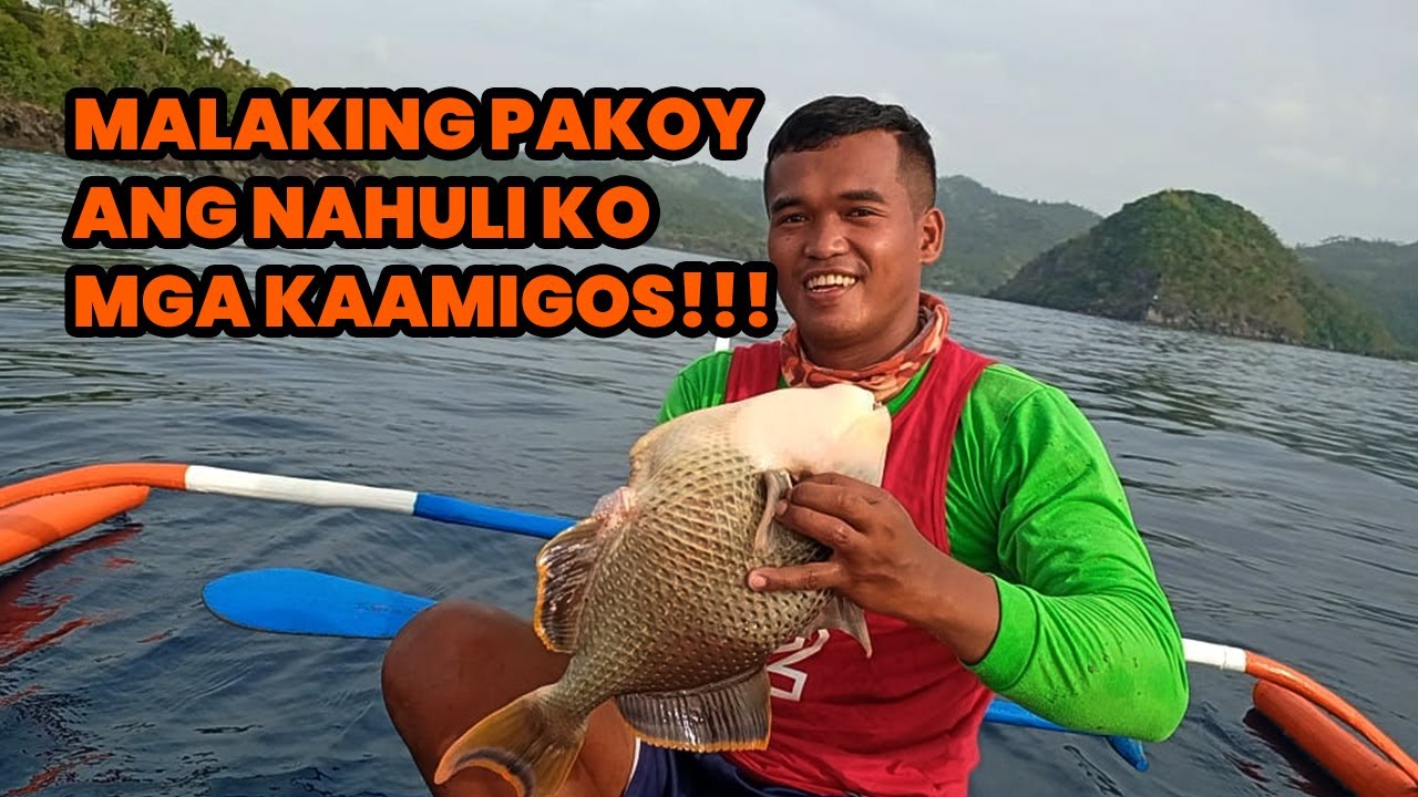 Lapu-Lapu (Grouper)(Undak-undak) Traditional Fishing |May nahilo't sumuka😁 |KaAmigos Vlog