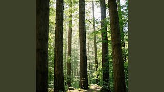 Download Lagu Bayangan di Balik Dinding MP3