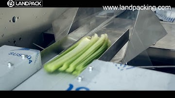 Celery packing machine | vegetable packaging machine | automatic packing machine