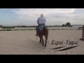 Equi tape   glutes