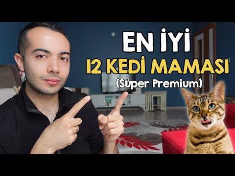 Video: Global Pet Expo 2013'te En İyi 10 Kedi Ürünleri