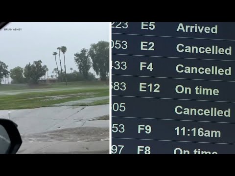 'Serious rain': Bay Area natives in SoCal feel impact of Tropical Storm Hilary