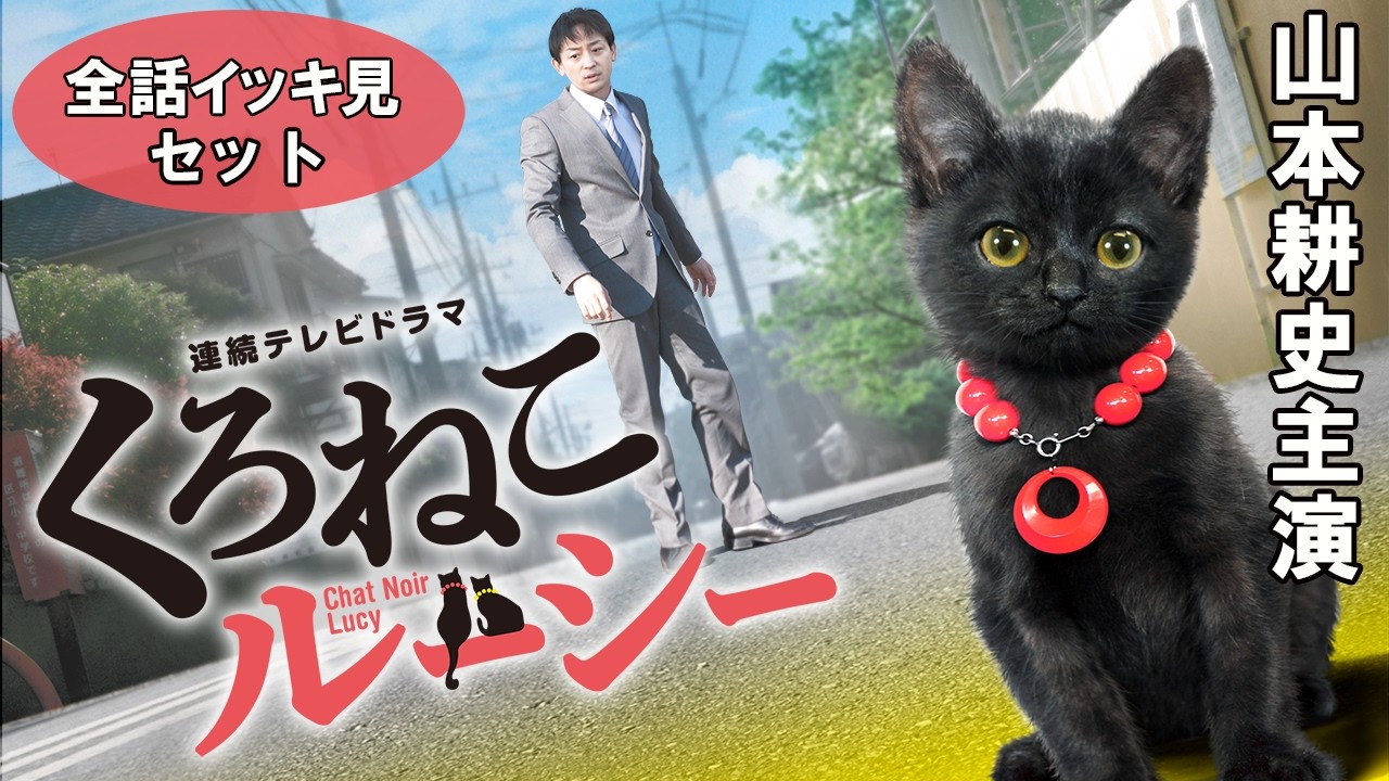 【📺イッキ見 無料配信中】『くろねこルーシー』全話セット！山本耕史主演、黒猫をメインキャストにした日本初の実写連続ドラマ！！