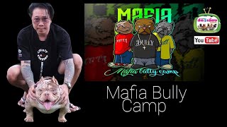 Mafia Bully Camp กรุงเทพฯ teaser @Anajak226