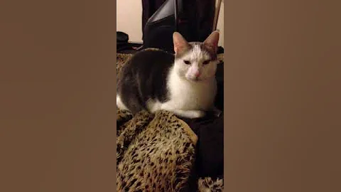 Marshall doing absolutely nothing