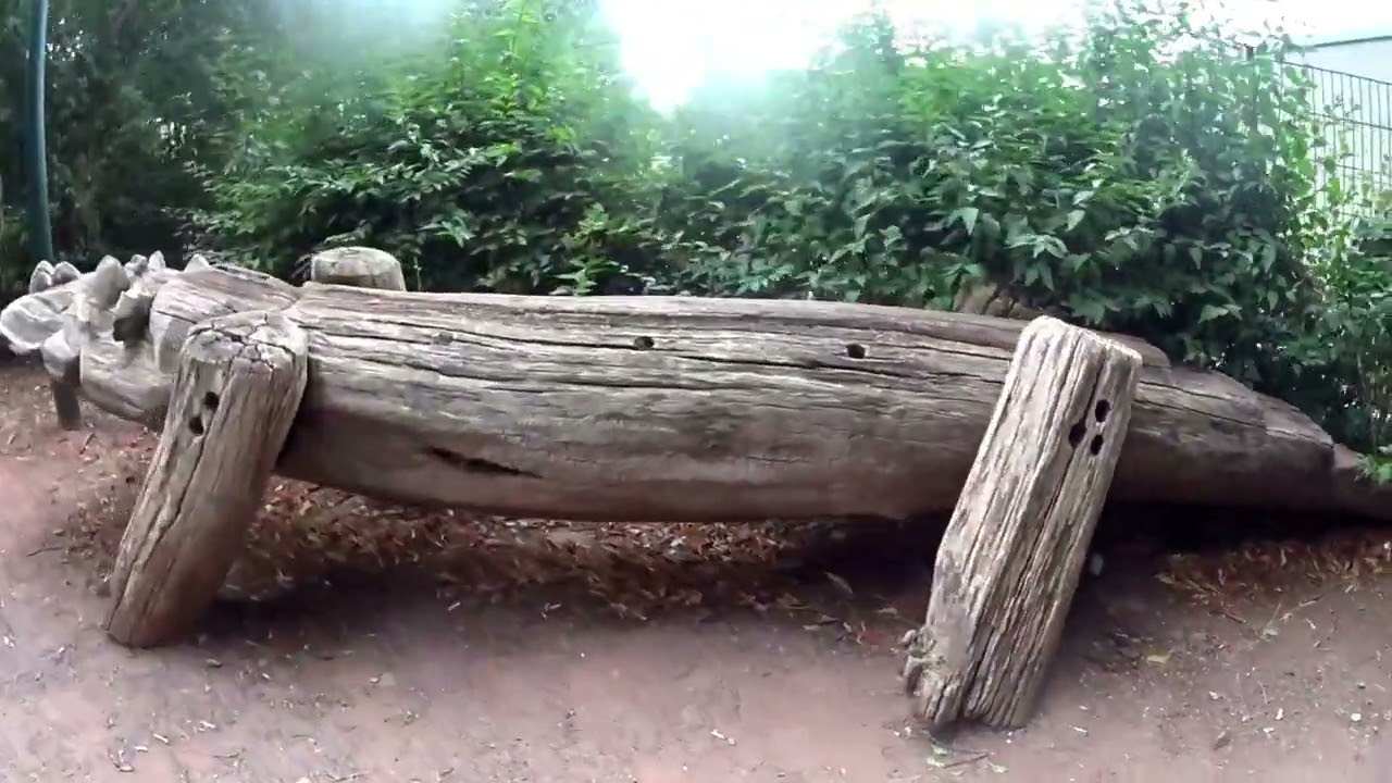 Mit der Bahn nach Berga   Kelbra und wandern über Staudamm bis zum Fernsehturm auf dem Kulpenberg