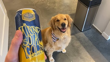 How I trained Ellie to grab a beer