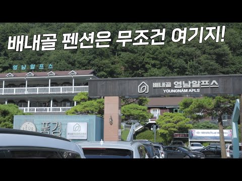 카페 한식당 수영장까지 모든게 있는 완벽 그잡채!! 배내골에 간다면 펜션은 무조건 여기지! 배내골 영남알프스펜션