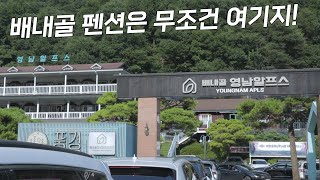 카페 한식당 수영장까지 모든게 있는 완벽 그잡채!! 배내골에 간다면 펜션은 무조건 여기지! 배내골 영남알프스펜션 | KIMSU DAY 킴수데이