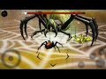 Poisonous Giant Spider Boss Fight? | Ultimate Spider Simulator | #3