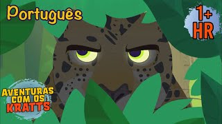 Criaturas da Floresta Tropical | Episódios completos | Aventuras com os Kratts