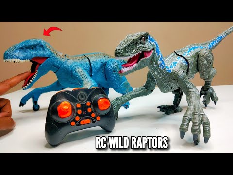 RC Real Simulation Raptor Animal Unboxing & Testing - Chatpat toy tv
