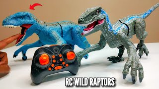 RC Real Simulation Raptor Animal Unboxing & Testing  Chatpat toy tv