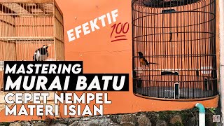 TEKNIK MASTERING MURAI AGAR CEPAT NEMPEL ISIAN