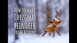 How To Make Christmas Reindeer From Acorns