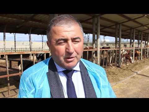 გარდაბანში მსოფლიო მეცხოველეობის დღე აღინიშნა