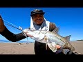 pesca de robalos de playa|| pesca con gomas o vinilos