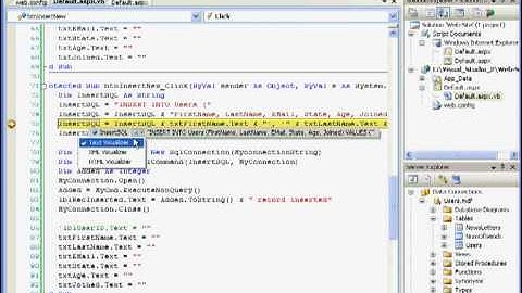 Learn Visual Basic   Insert New Record