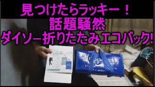 100均ダイソーの安い人気の折りたたみエコバッグ（買い物袋）！レジ袋はもう要らない！収納も楽！折りたたみ方も簡単！