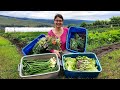 Food Waste on the Farm?  Donating to the Food Bank