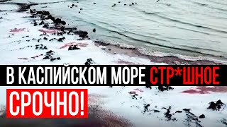 НЛО РЫБАКИ ПАДАЛИ В ОБМОРОК ОТ УВИДЕННОГО В КАСПИЙСКОМ МОРЕ СТРАШНОЕ 18082021 ДОКУМЕНТАЛЬНЫЙ ФИЛЬМ