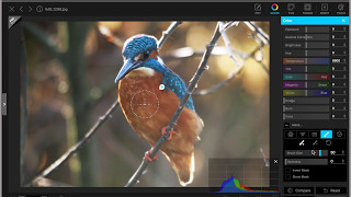 Editing a Kingfisher photo in Photoscape X Free