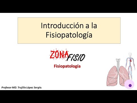 Vídeo: Diferencia Entre Patología Y Fisiopatología