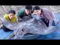 I Bought Giant Stingray Fish Stir-Fried Ginger | Monster Seafood Stingray Cutting & Cooking Food